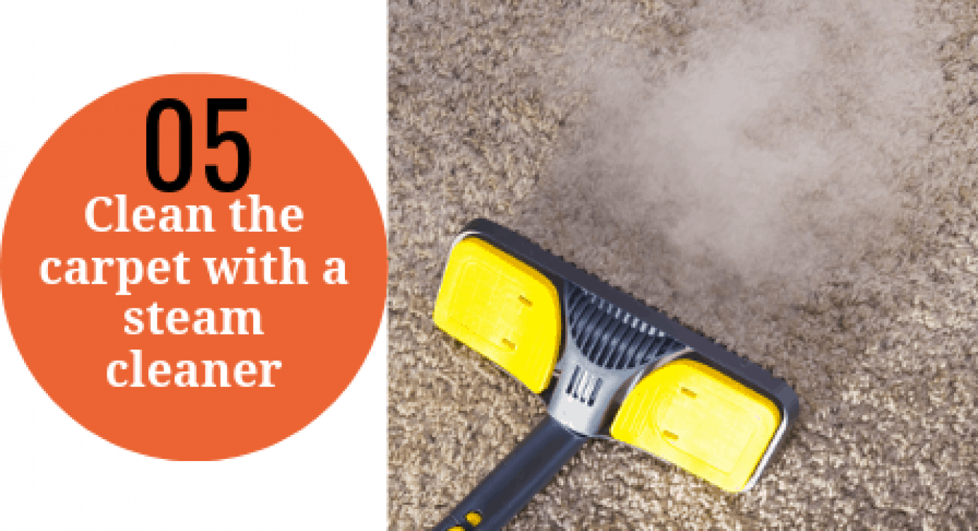 How To Steam Clean A Carpet Illustrated Guide Steam Cleaner Pro