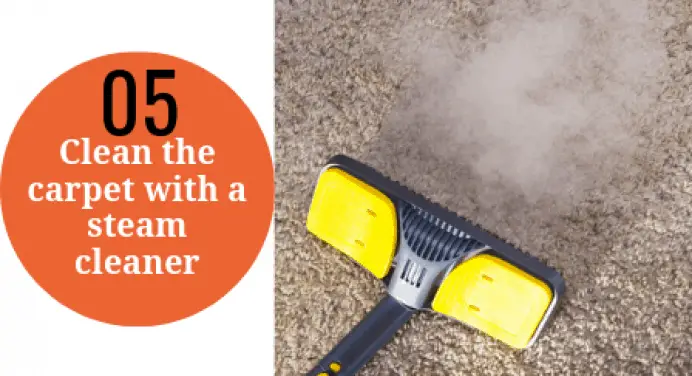 How to Steam Clean a Carpet