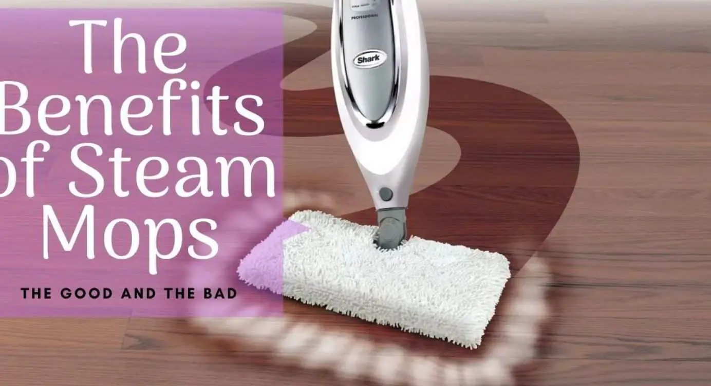 Can You Put Floor Cleaner In A Steam Mop Steam Cleaner Pro